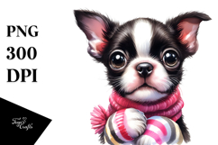 Happy Boston Terrier, Transparent PNG Product Image 1
