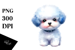 Expressive Bichon Frise, Transparent PNG Product Image 1