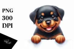 Funny Baby Rottweiler | Sublimation | Clipart Product Image 1