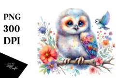 Vibrant Baby Owl Sublimation Clipart Product Image 3