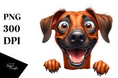 Crazy Looking Rhodesian Ridgeback | Sublimation | Clipart Product Image 3