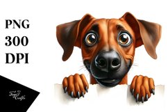 Crazy Looking Rhodesian Ridgeback | Sublimation | Clipart Product Image 3