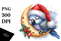 dressed For Christmas Baby Parrot | Sublimation | Clipart Product Image 1