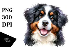 Cute Bernese Mountain Dog with Big Eyes PNG Product Image 1