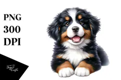 Cute Bernese Mountain Dog with Big Eyes, PNG Product Image 1