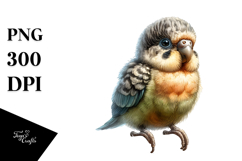 Digital Watercolor Baby Parrot PNG Product Image 1