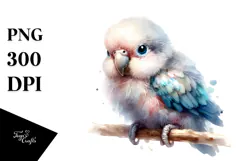 Digital Watercolor Baby Parrot PNG Product Image 1