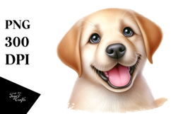 Cute Labrador Retriever with Big Eyes PNG Product Image 1