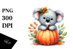 Baby Koala Pumpkin Sublimation Clipart Product Image 3
