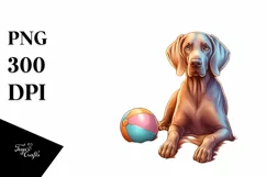 Weimaraner Sitting in Sand at Sunset | Clipart Product Image 1