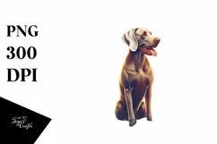 Weimaraner Sitting in Sand at Sunset | Clipart Product Image 3