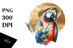 Beach Parrot, Creative PNG Product Image 1