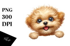 Funny Furr Bichpoo | Sublimation | Clipart Product Image 3