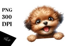 Funny Furr Bichpoo | Sublimation | Clipart Product Image 1