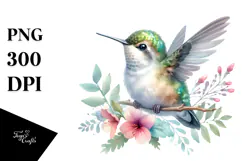 Singer Baby Hummingbird PNG Product Image 1