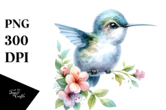 Watercolor Cute Baby Hummingbird PNG Product Image 1