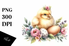 Cute Baby Chicken, High-Res PNG Product Image 1