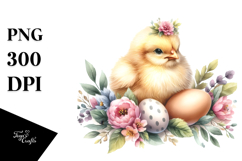 Cute Baby Chicken, High-Res PNG Product Image 1