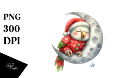 Baby Parrot Moon Christmas Product Image 1
