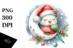 Baby Parrot Moon Christmas Product Image 1