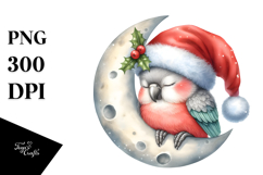 Baby Parrot Moon Christmas Product Image 1