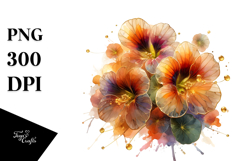 Golden Nasturtium, Transparent PNG Product Image 1