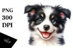 Cute Border Collie Dog with Big Eyes, PNG Product Image 1