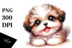 Baby Bichpoo, Transparent PNG Product Image 1