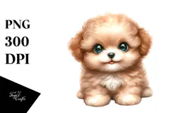 Cute Baby Bichpoo PNG Product Image 1