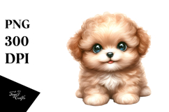 Cute Baby Bichpoo PNG Product Image 1