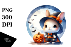 Cute Baby Rabbit on Moon PNG Product Image 1