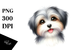 Cute Havanese Dog with Big Eyes, PNG Product Image 1