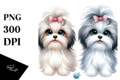 Cute Havanese Dog with Big Eyes, PNG Product Image 1