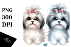 Cute Havanese Dog with Big Eyes, PNG Product Image 1