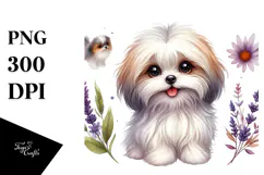 Cute Havanese Dog with Big Eyes, PNG Product Image 1