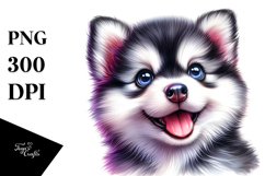 Cute Baby Siberian Husky PNG Product Image 1