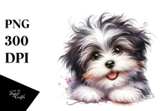 Baby Havanese PNG Product Image 1