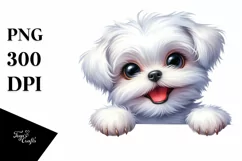 Funny Maltese Big Eyes | Sublimation | Clipart Product Image 1