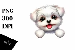 Funny Maltese Big Eyes | Sublimation | Clipart Product Image 3