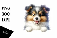 Cute Crazy Baby Shetland Sheepdog Clipart Product Image 1