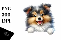 Cute Crazy Baby Shetland Sheepdog Clipart Product Image 3