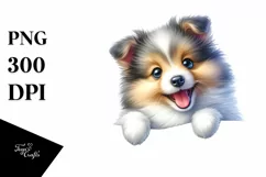 Watercolor Baby Fun Cute Shetland Sheepdog Sublimation Product Image 1