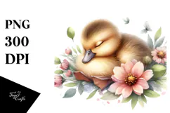 Sleeping Baby Duck on a Flower, PNG Product Image 1