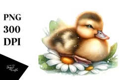 Sleeping Baby Duck on a Flower, PNG Product Image 1