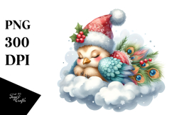 Baby Peacock Christmas Clipart Product Image 1