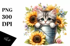 Cute Baby Cat with Big Eyes PNG Product Image 1