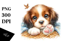 Cute Baby Brittany with Big Eyes PNG Product Image 1