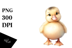 Sitting Baby Duck PNG Product Image 1