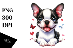 Cute Boston Terrier Dog with Big Eyes, PNG Product Image 1