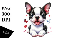 Cute Boston Terrier Dog with Big Eyes, PNG Product Image 1